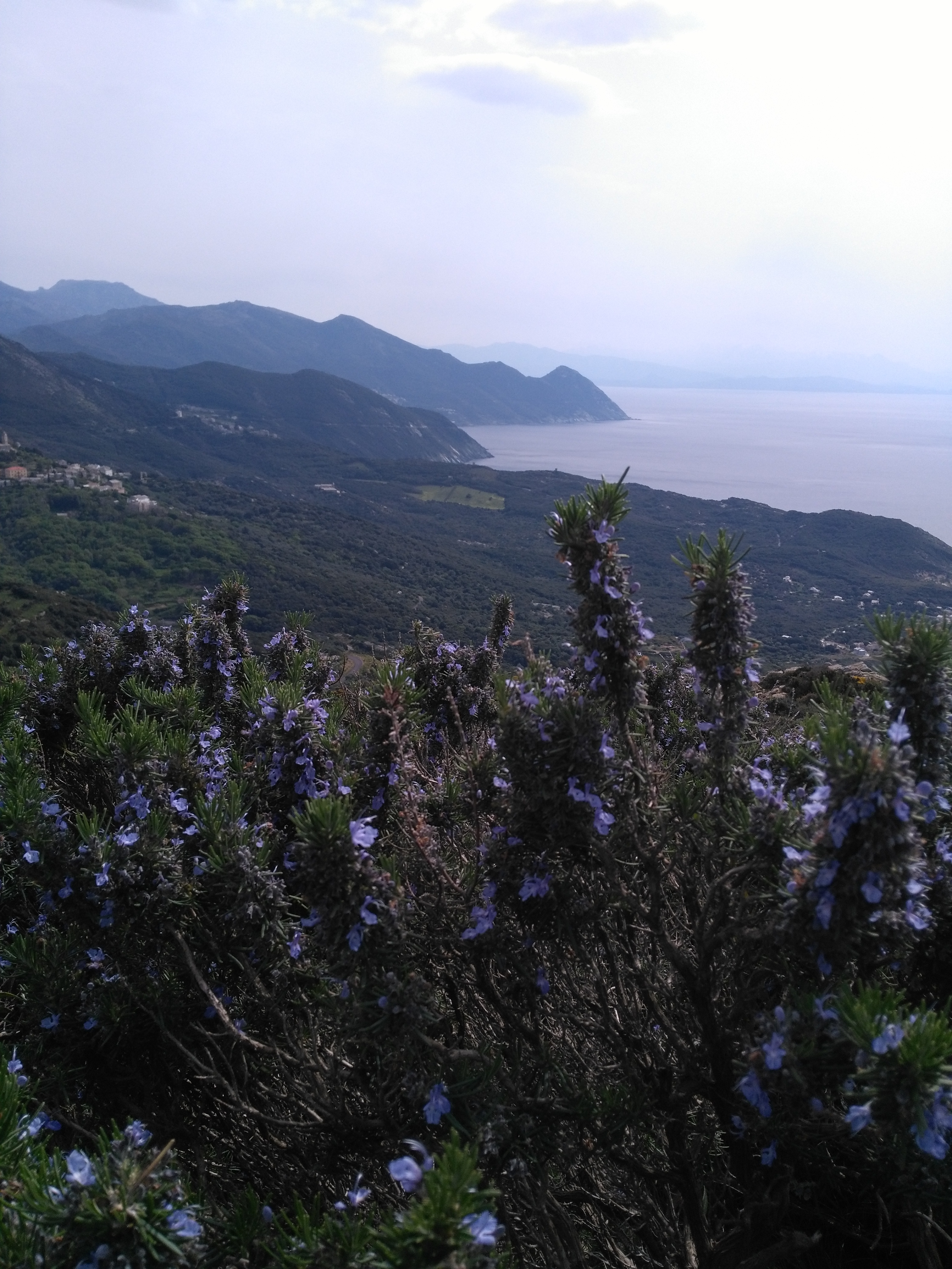 Photo n° 11 de l'avis de Marie.r fait le 21/04/2019 à 19:20