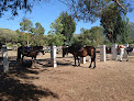 Centre Equestre L'hacienda Propriano