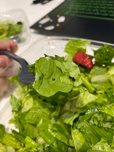 Fast Food Restaurant «Chick-fil-A», reviews and photos, 401 S Mt Juliet Rd #105, Mt Juliet, TN 37122, USA