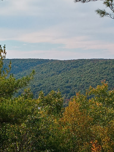 Cook Forest State Park Office