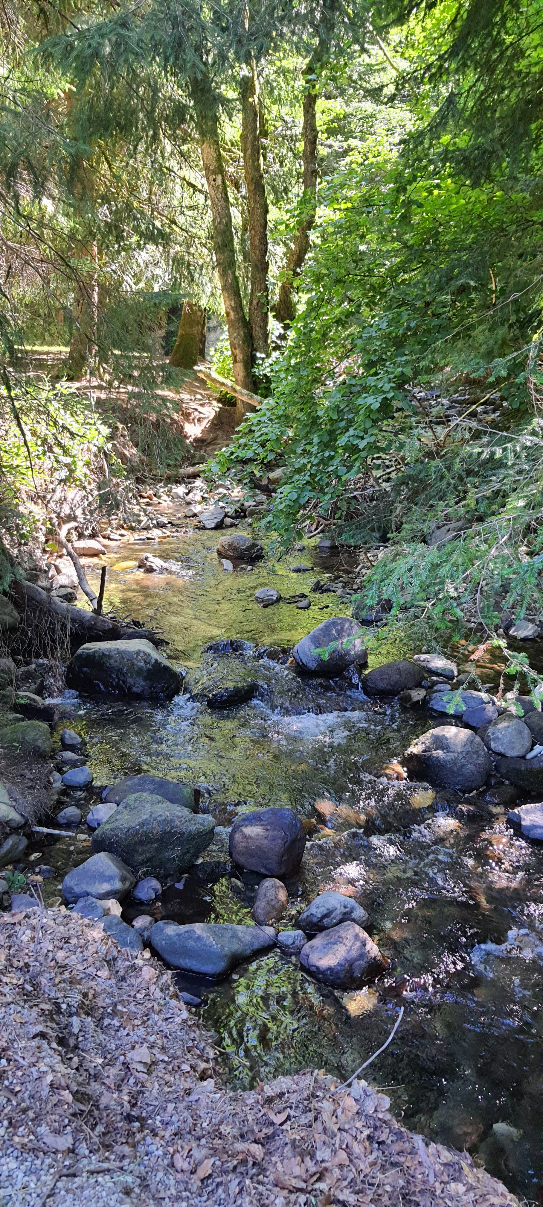 Photo n° 1 de l'avis de Elodie. fait le 22/07/2022 à 13:59
