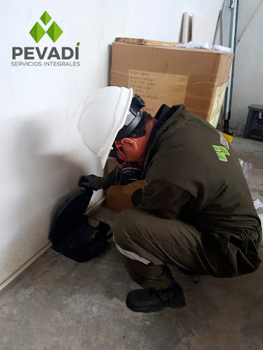 PEVADI S.A. - Guayaquil