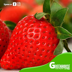 Greenhouse.fyv