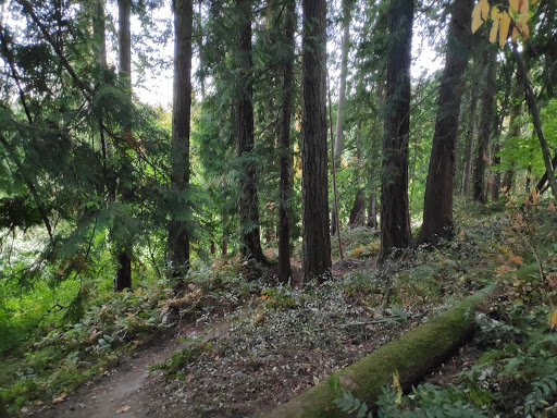 Park «Foege Park», reviews and photos, 125 NW Cedar Hills Blvd, Portland, OR 97229, USA