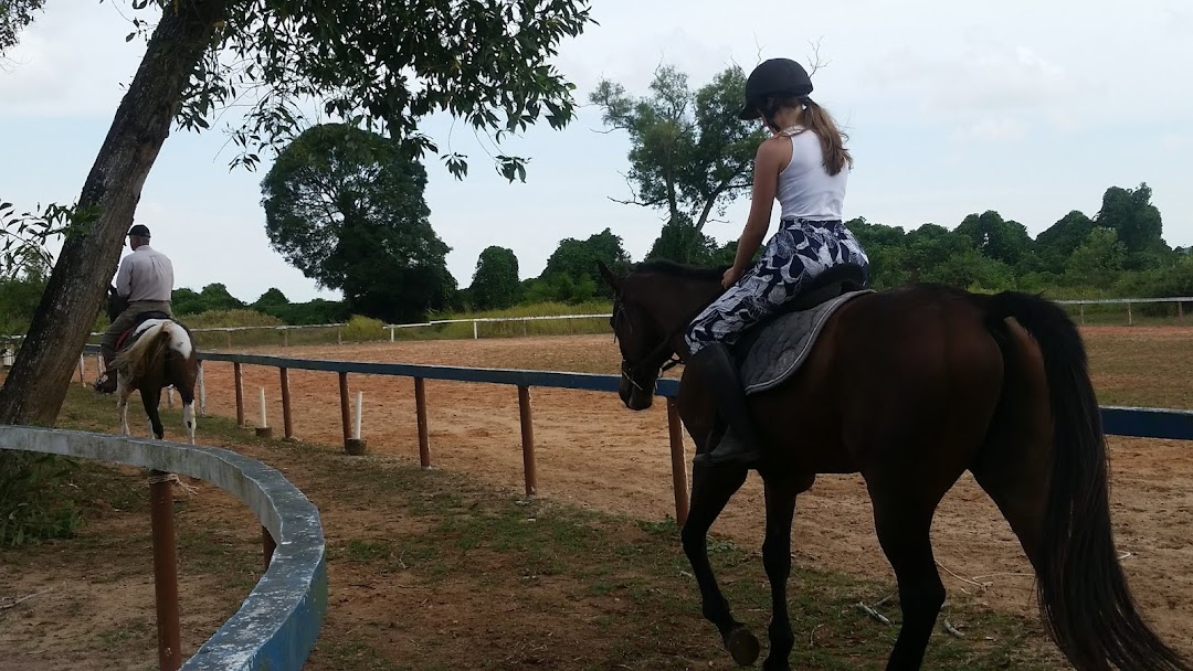 Amigos Horse Riding