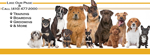 K-9 Koncepts Dog Training, Grooming, Boarding, Pet Store, 4520 North Point Blvd, Sparrows Point, MD 21219, USA, 