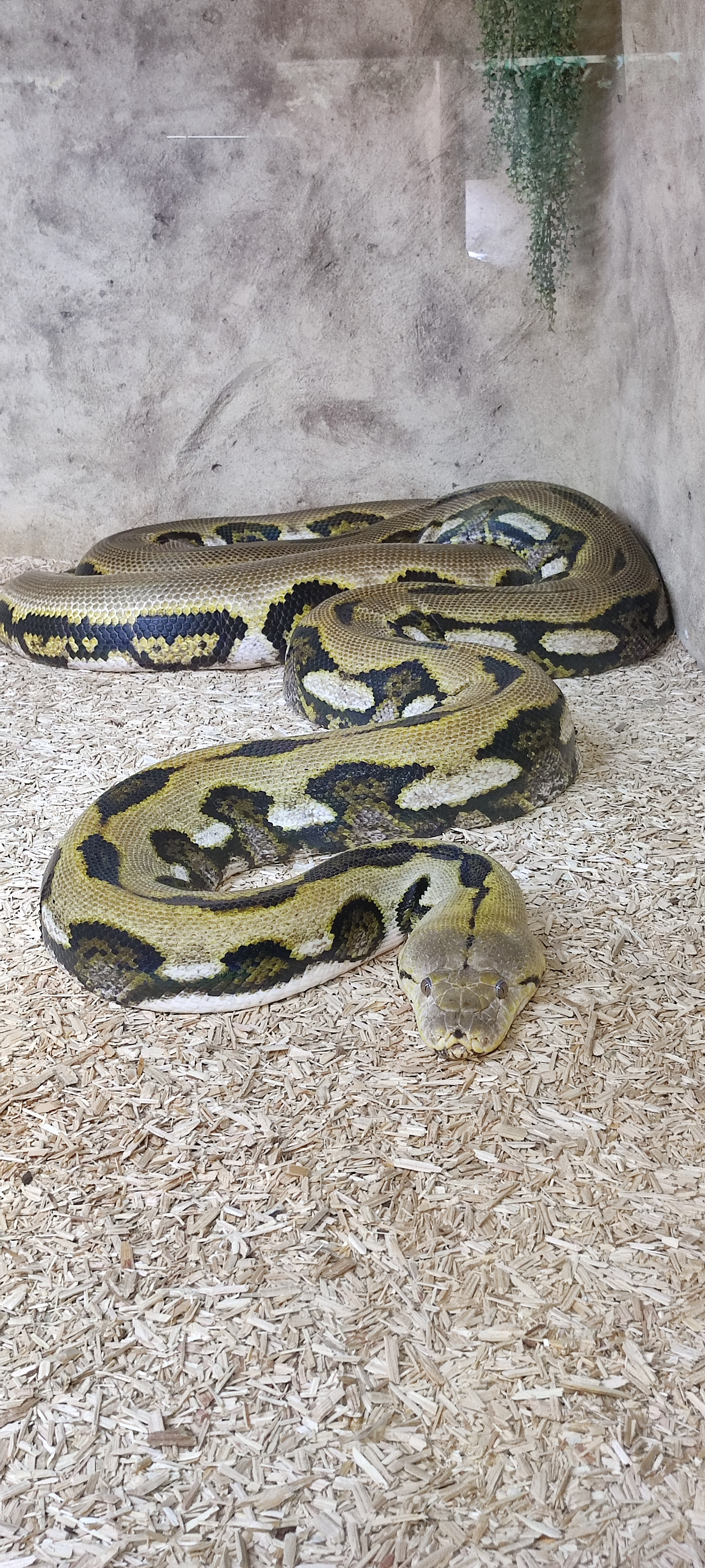 Photo n° 37 de l'avis de Yannick.o fait le 11/02/2023 à 16:29