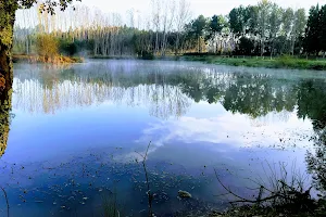 Lagoa de ancas eucaliptal Lincho image