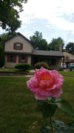 Tattoo Shop «Blue Velvet Tattoo», reviews and photos, 132 E Maple Ave, Langhorne, PA 19047, USA