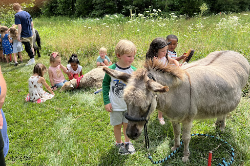 16805 Mountain Rd, Montpelier, VA 23192, USA