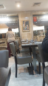 Atmosphère du Restaurant turc Élysées Ottoman PERA à Paris - n°16