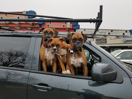 Shopping Mall «Wal-Lex Shopping Center», reviews and photos, 850 Lexington St, Waltham, MA 02452, USA