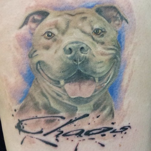 Body Piercing Shop «Punctured Piercing & Tattoo», reviews and photos, 2459 S Main St, Bountiful, UT 84010, USA