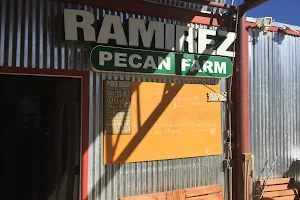 Ramirez Pecan Farms image