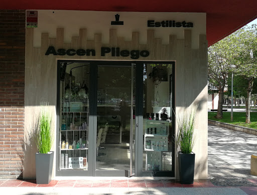 Ascen Pliego Estilista en Vitoria-Gasteiz, Álava