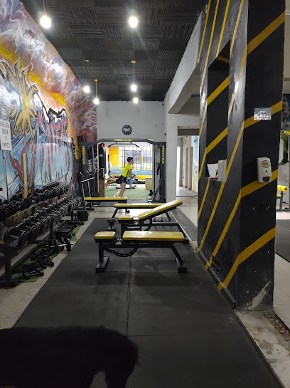 The Wall Gym