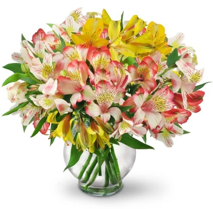 Florist «Lawrence Florist», reviews and photos, 927 N 2nd St, St Charles, MO 63301, USA