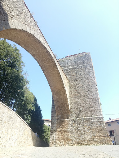 Cucci Marco