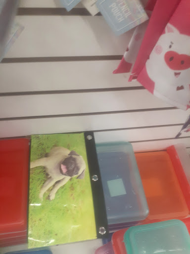 Dollar Store «Dollar Tree», reviews and photos, 30887 Orchard Lake Rd, Farmington Hills, MI 48334, USA