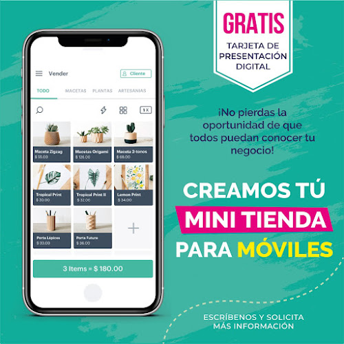 Creadis Agencia de Diseño & Publicidad y Desarrollo Diseño Web y Marketing Digital en Quito - Diseñador de sitios Web