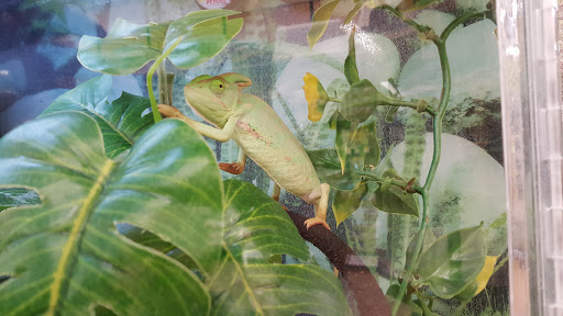 Pet Supply Store «Petco Animal Supplies», reviews and photos, 30697 US Hwy 19 N, Palm Harbor, FL 34684, USA