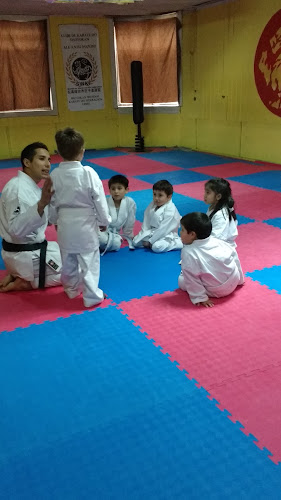 Opiniones de Karate-Do Shotokan en Temuco - Gimnasio