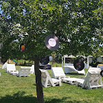 Photo n°6 de l'avis de Valentina.r fait le 05/01/2020 à 11:49 sur le  Agriturismo Camigliatello Fattoria Biò à Camigliatello Silano