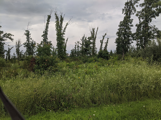 Nature Preserve «Orland Grassland», reviews and photos, 167th Street & S La Grange Road, Tinley Park, IL 60487, USA