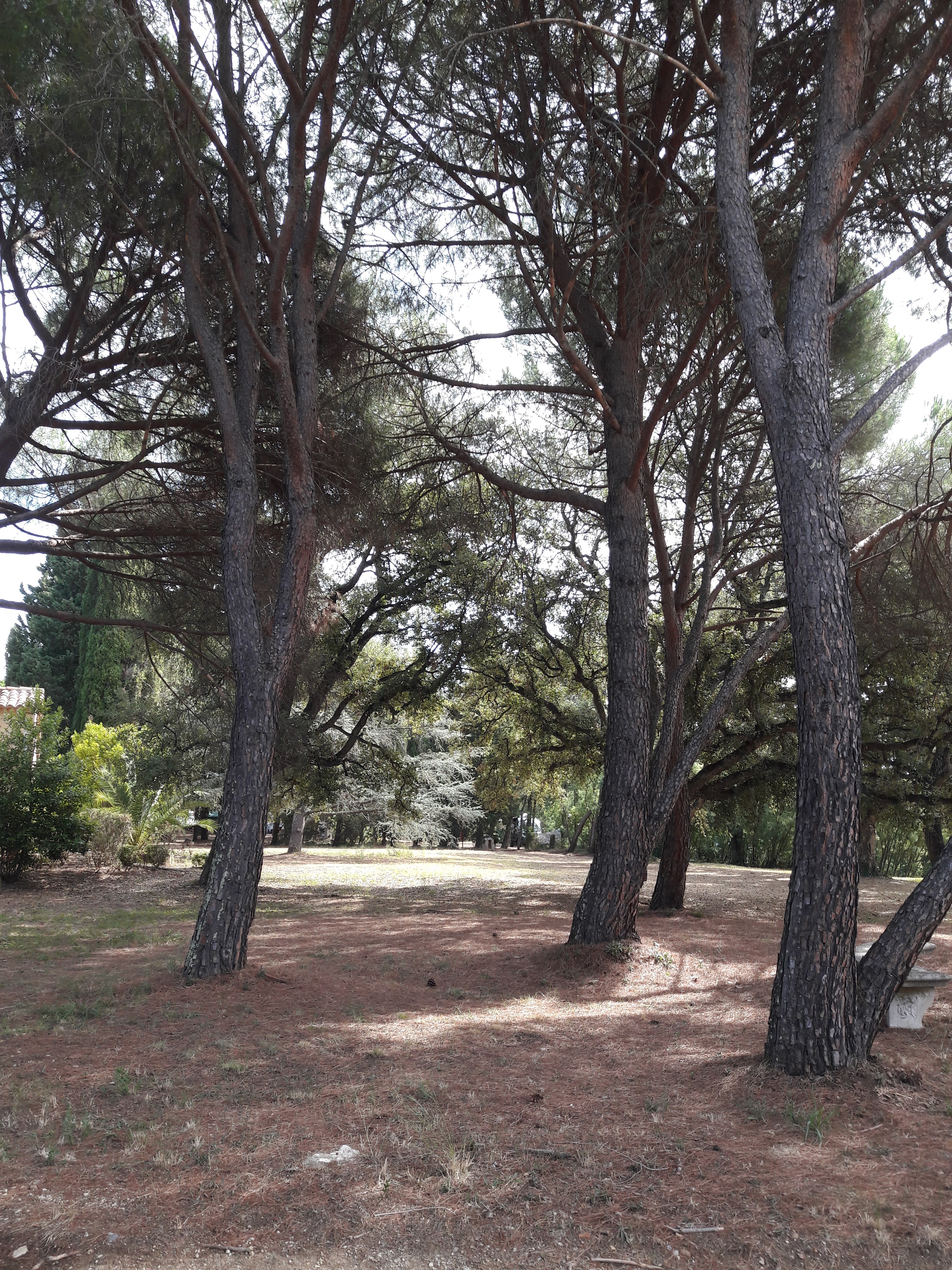 Photo n° 2 de l'avis de BMB.O fait le 15/09/2019 à 18:06