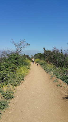 Hacienda Hills Trailhead image