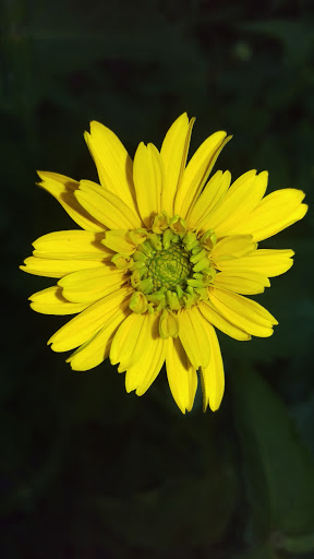 Park «Baisley Pond Park», reviews and photos, Baisley Blvd, Jamaica, NY 11434, USA