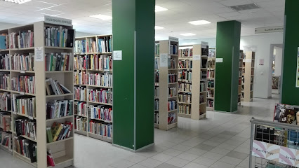 Paepealse raamatukogu