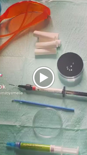 Explore honey bee tattoo ideas, creative tattoo ideas in Kissimmee, available at Ol Skool Tattoos Studio