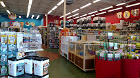 Pet Supermarket - Photo 6 - Car repair in Jacksonville, FL, Jacksonville