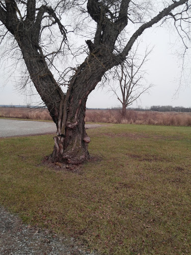 Nature Preserve «Marais Temps Clair Conservation Area», reviews and photos, 5134 Island Road, St Charles, MO 63301, USA