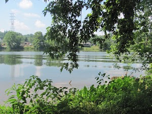 Core Arboretum - photo 10