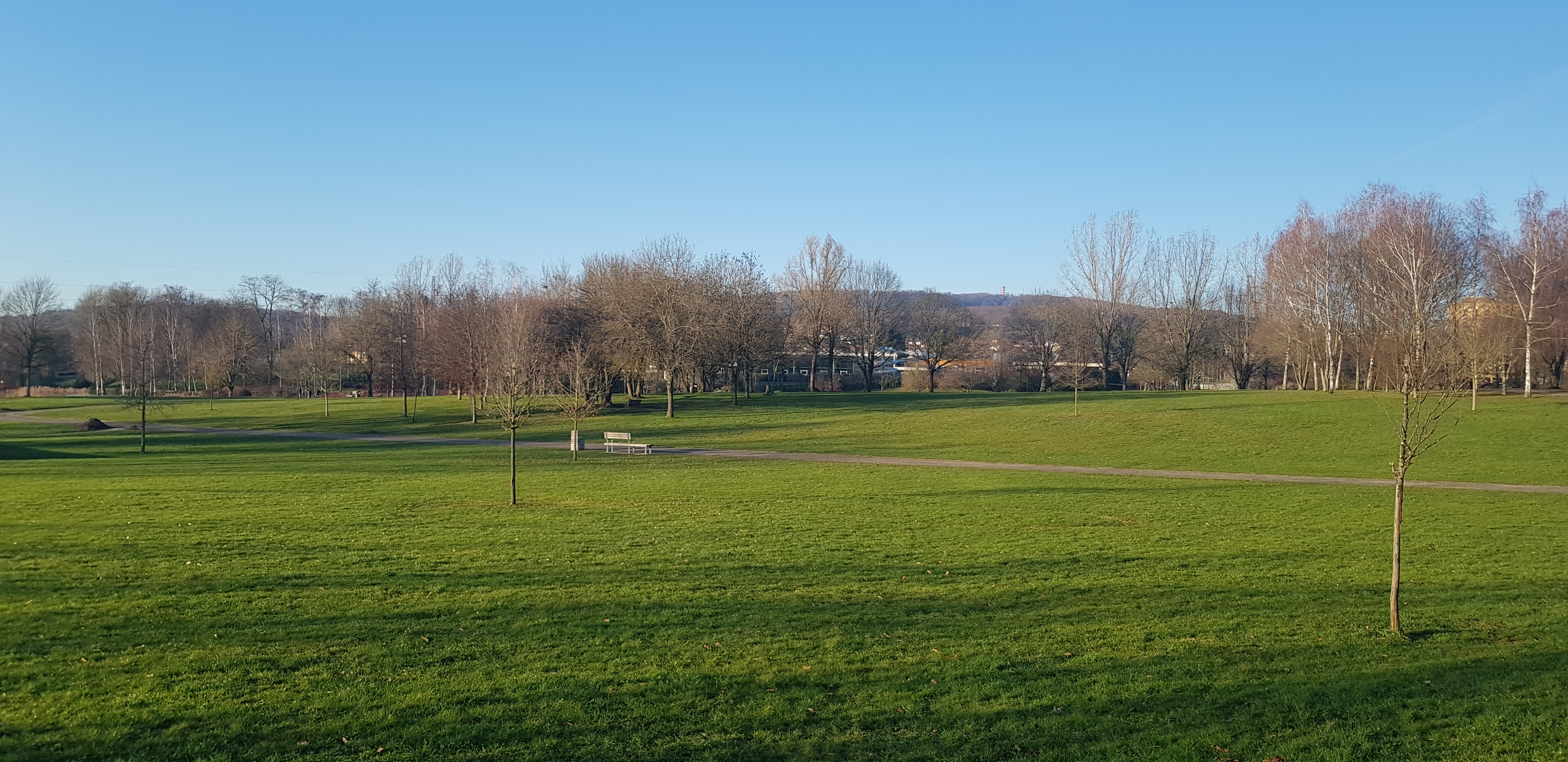 Photo n° 14 de l'avis de R.a fait le 30/12/2019 à 14:49