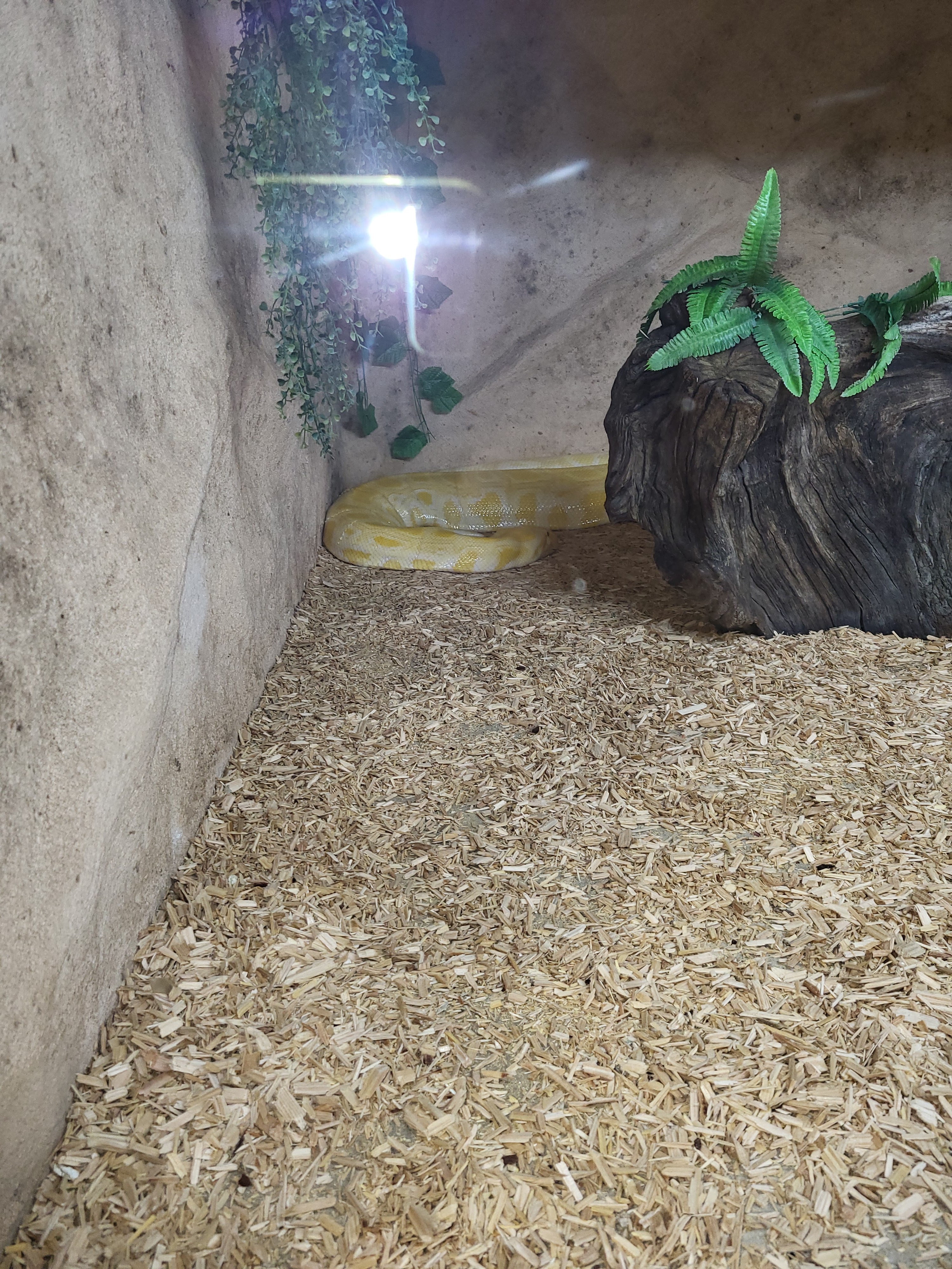 Photo n° 2 de l'avis de Cor.a fait le 11/06/2023 à 11:44