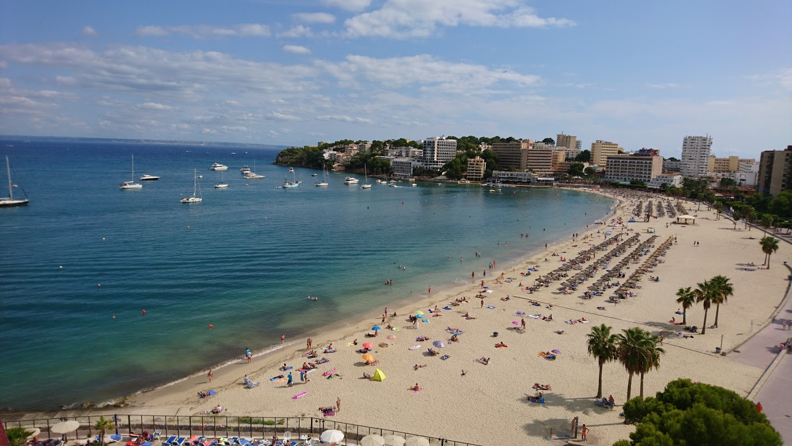 Foto von Palmanova Strand - empfohlen für Familienreisende mit Kindern