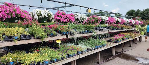 Plant Nursery «Martins Home & Garden», reviews and photos, 1020 NW Broad St, Murfreesboro, TN 37129, USA