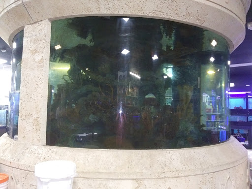 Captain Nemos Aquarium Superstore image 1