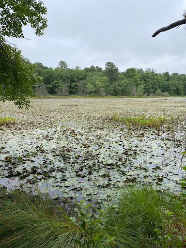 Nature Preserve «Black Run Preserve», reviews and photos, Kettle Run Rd, Evesham Township, NJ 08053, USA