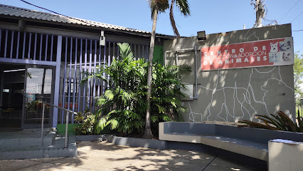 Centro de Control y Adopción de Animales - Municipio de San Juan
