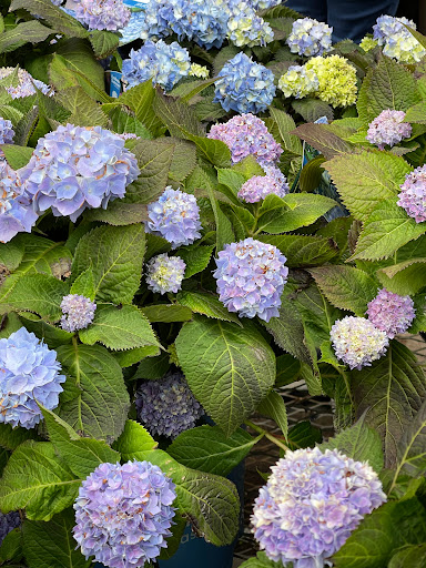 Home Improvement Store «The Home Depot», reviews and photos, 465 NJ-17, Mahwah, NJ 07495, USA