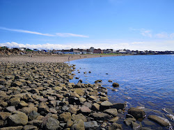 Photo de Prestonpans Beach avec un rivage spacieux