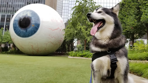 Tourist Attraction «Giant Eyeball», reviews and photos, 1601 Main St, Dallas, TX 75201, USA