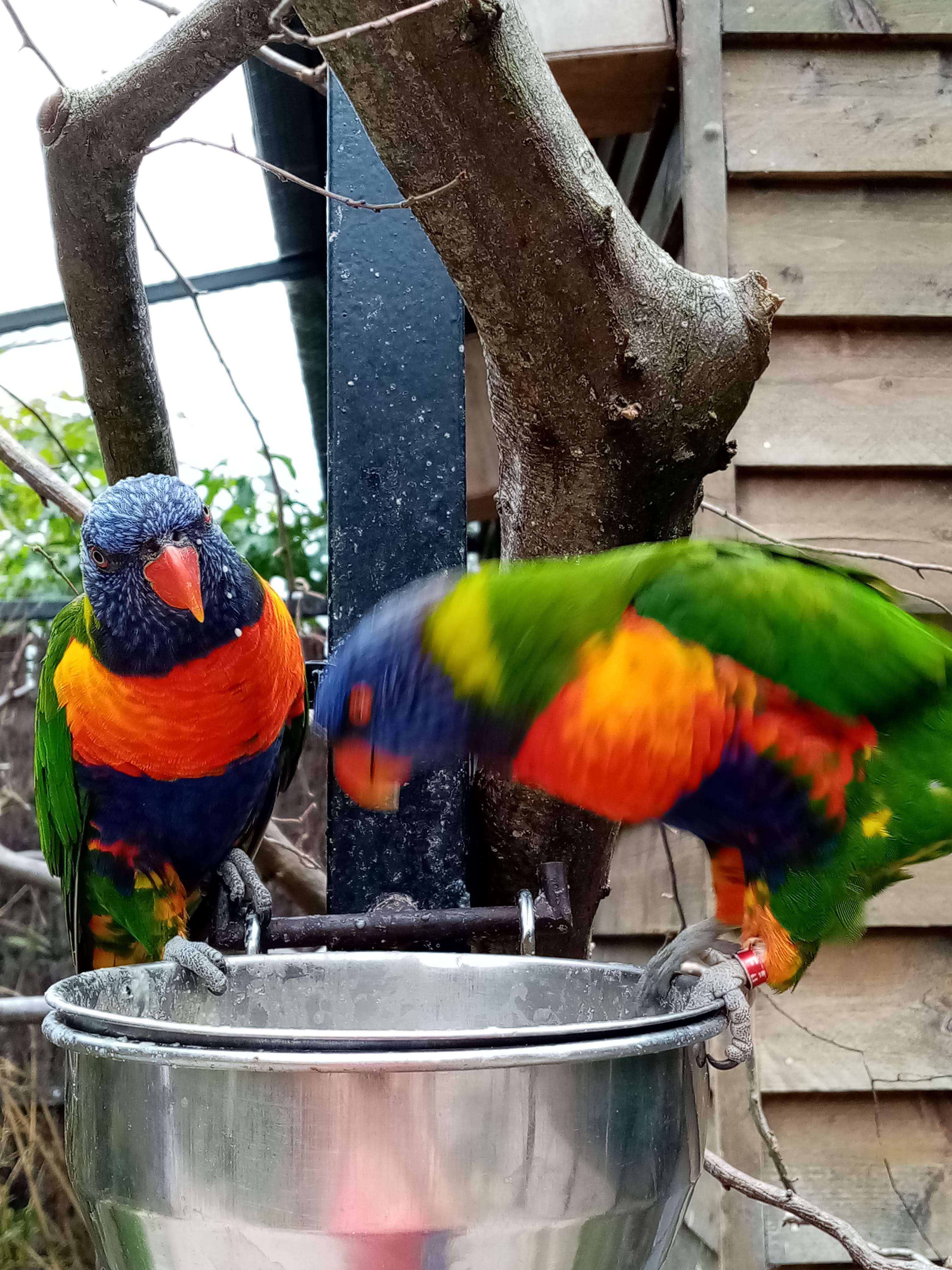 Photo n° 8 de l'avis de Marielaure.a fait le 25/07/2023 à 19:08