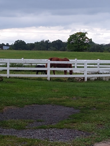 Wedding Venue «Brandy Hill Farm», reviews and photos, 18404 Bel Pre Rd, Culpeper, VA 22701, USA