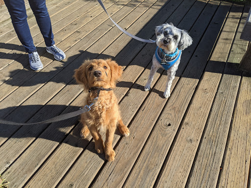 Park «N. Creek Park», reviews and photos, 1011 183rd St SE, Bothell, WA 98012, USA