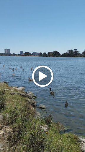 Park «Berkeley Aquatic Park», reviews and photos, 80 Bolivar Dr, Berkeley, CA 94710, USA